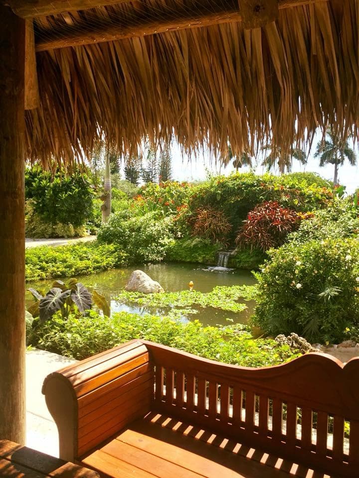 Tiki Hut Overlooking Tropical Pond