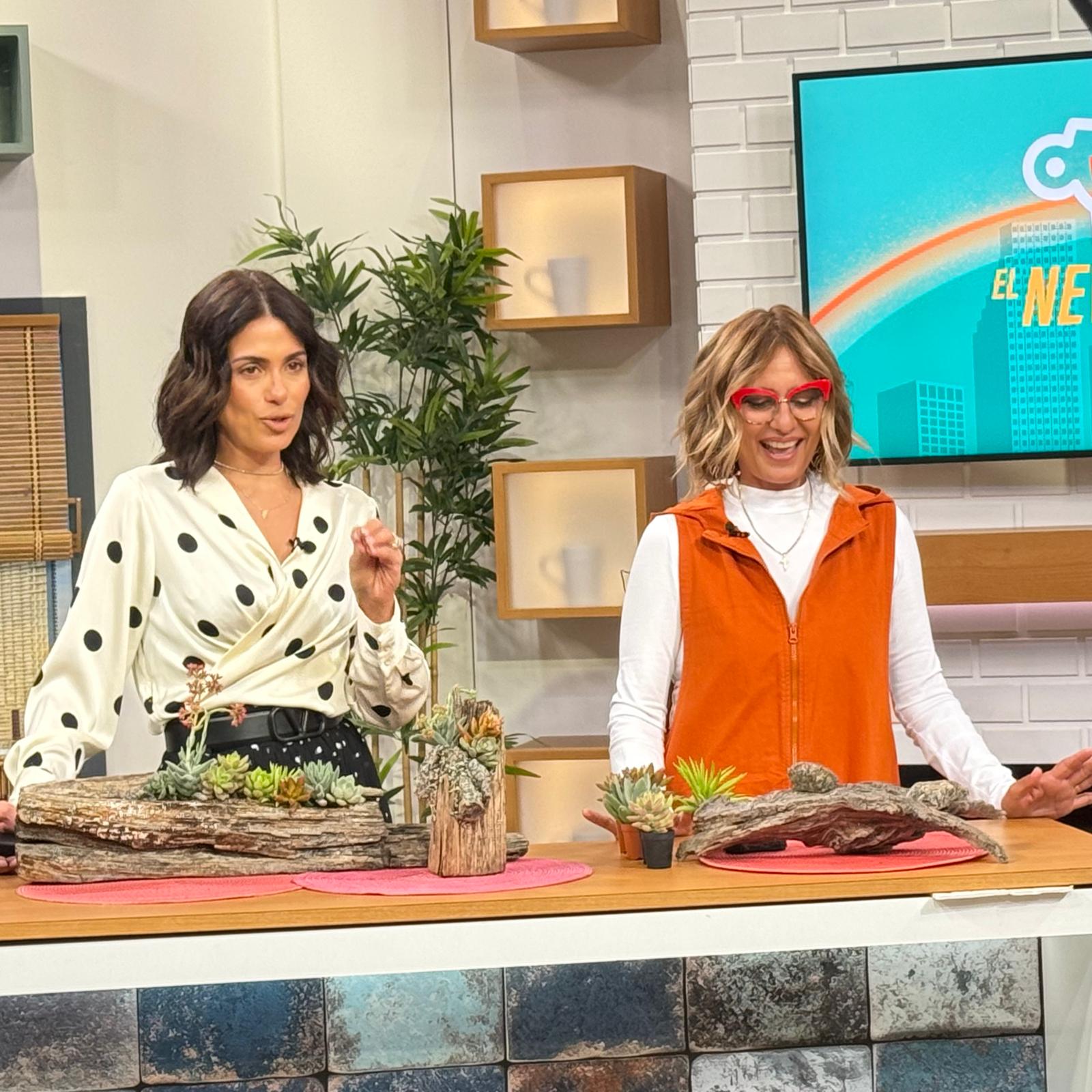 Maytee on Local Television — Garden Expert