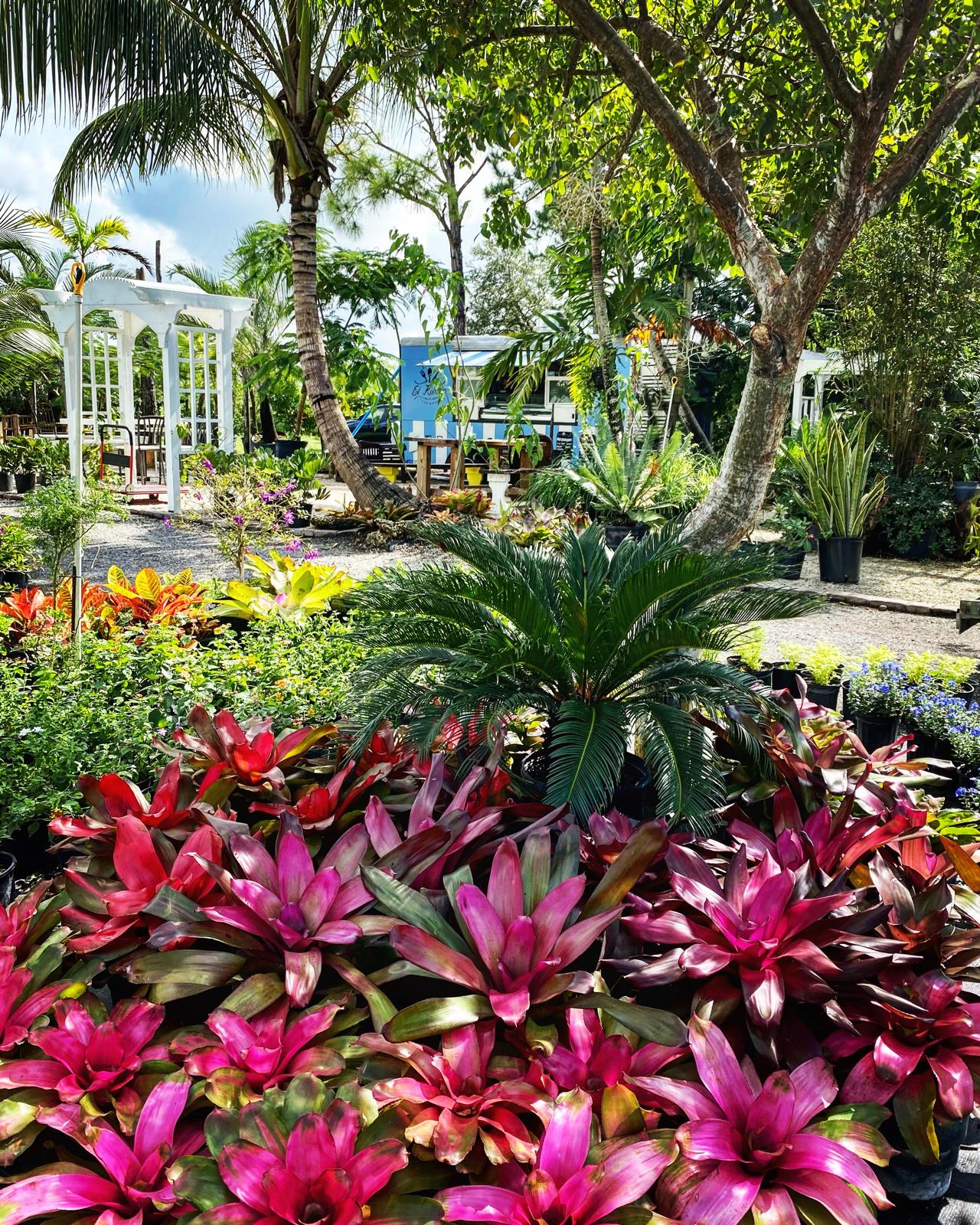 Maytees Garden Center — Plant Selection
