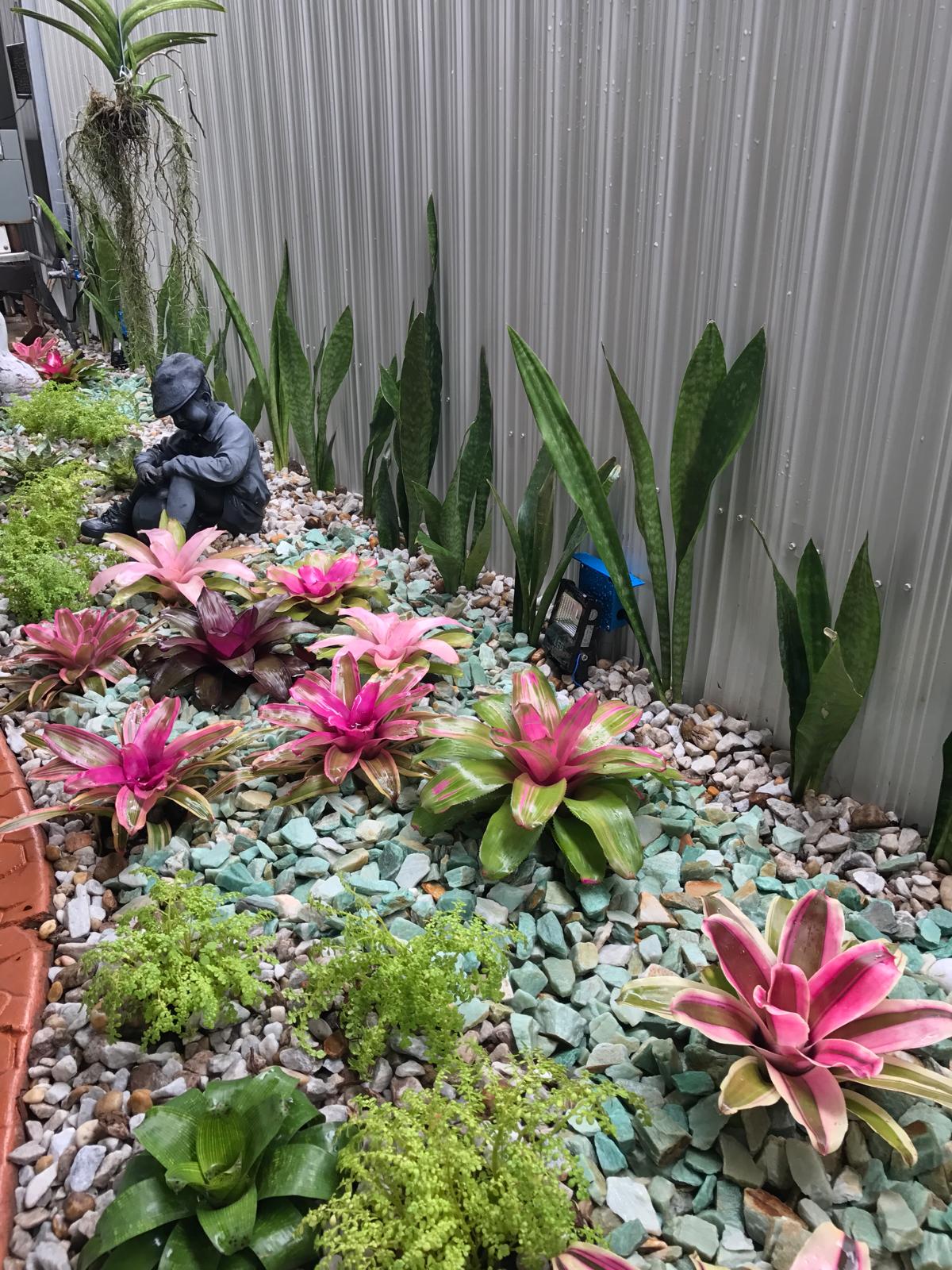 Bromeliad & Succulent Garden Bed