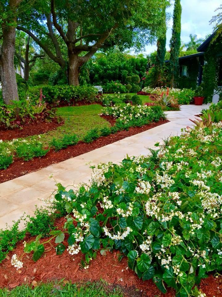 Jasmine-Lined Garden Pathway