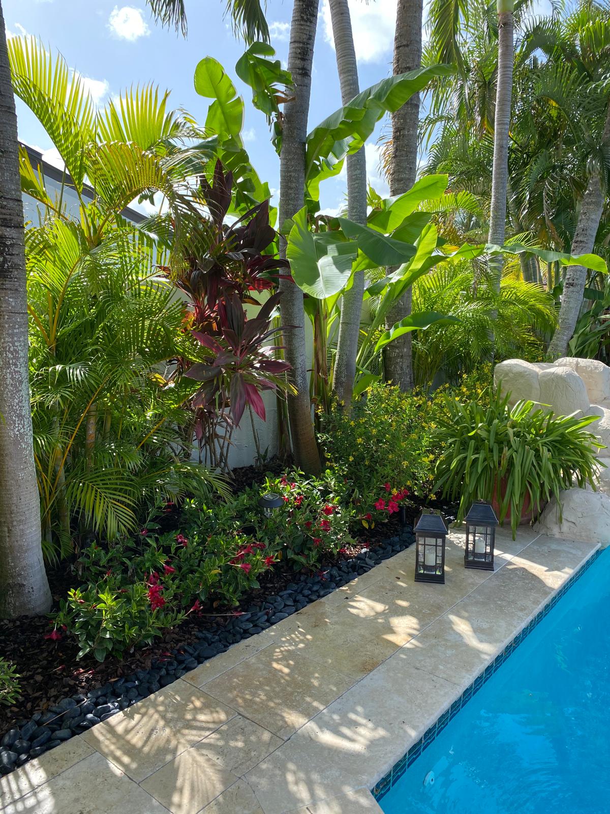 Poolside Tropical Garden — Doral