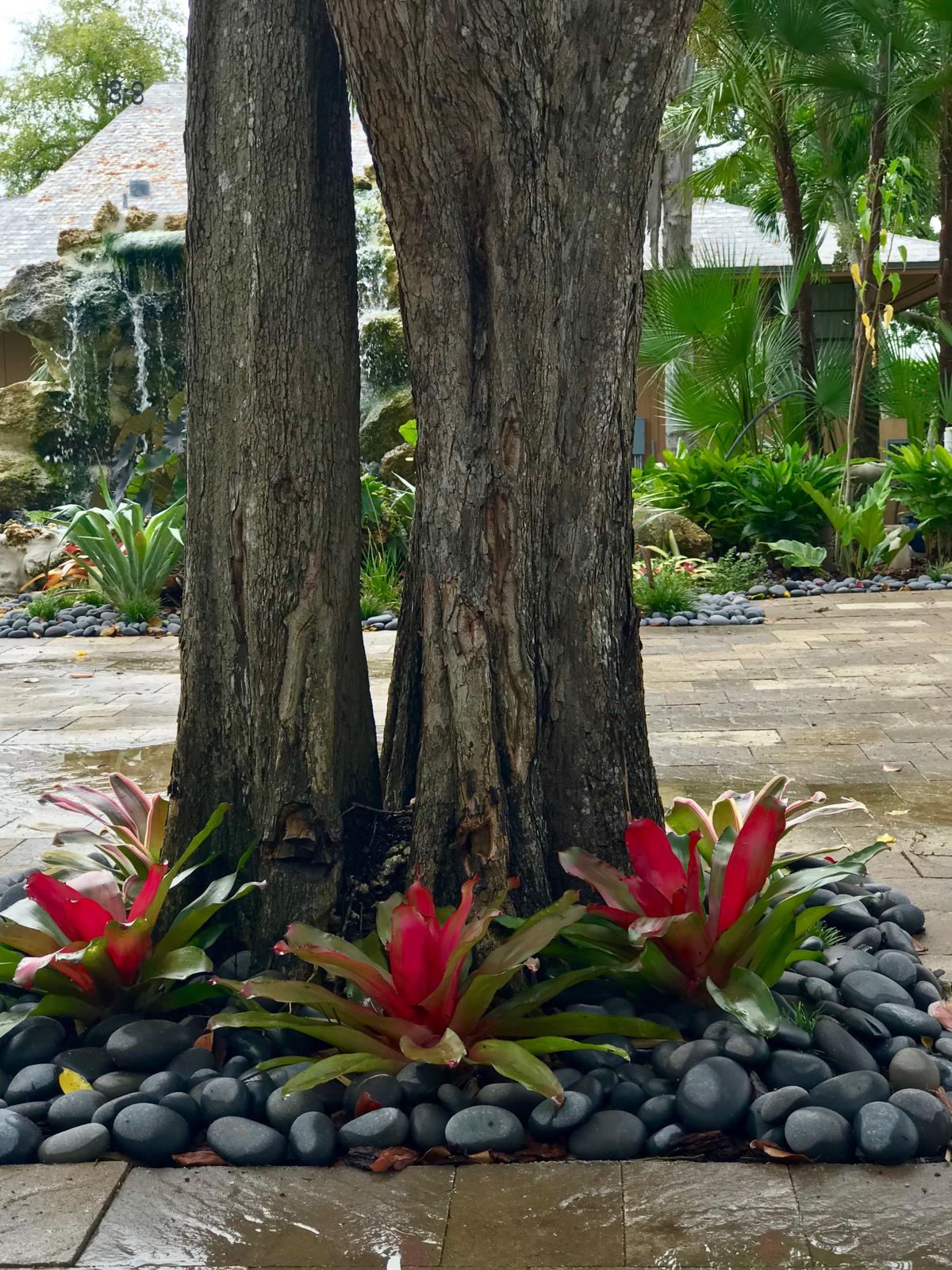 Tree Base Planting with River Rocks