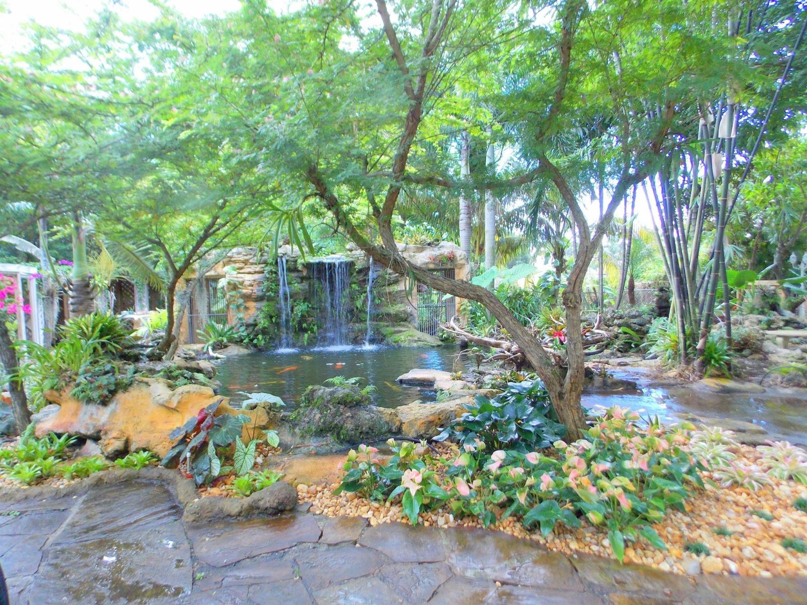 Waterfall & Koi Pond Installation
